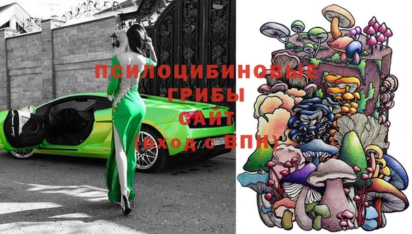 прущая мука Аркадак